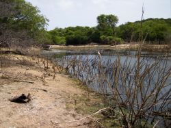 HofiMango_20110407_039